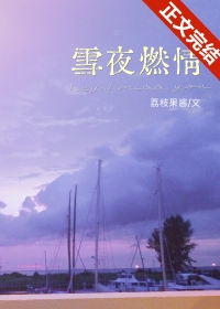 雪夜燃情 雪夜燃情