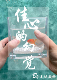 佳心的幻觉(1v1 h)(小姐文) 佳心的幻觉(1v1 h)(小姐文)
