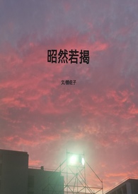 昭然若揭(高h,1V1) 昭然若揭(高h,1V1)