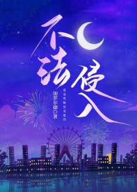 不法侵入 不法侵入