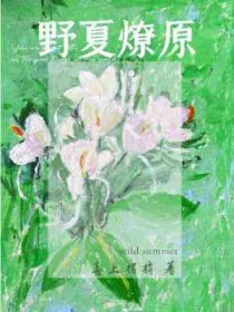 野夏燎原 野夏燎原