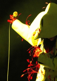 避风港(1V1) 避风港(1V1)