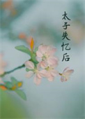 丞相夫人失忆后 丞相夫人失忆后